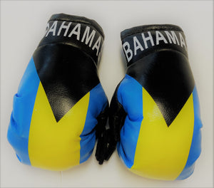 Bahamas Flag Mini Boxing Gloves