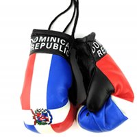 Dominican Rep. Flag Mini Boxing Gloves