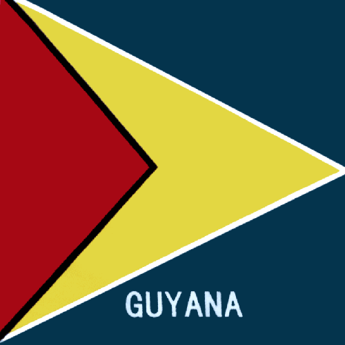Guyana Flag Bandanas 22X22
