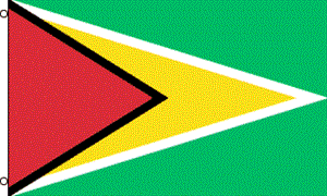 Guyana 3'X5' Flags