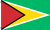 Guyana 3'X5' Flags