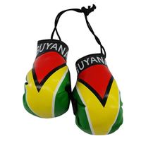 Guyana Flag Mini Boxing Gloves