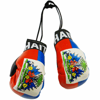 Haiti Flag Mini Boxing Gloves