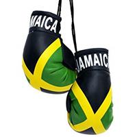 Jamaica Flag Mini Boxing Gloves