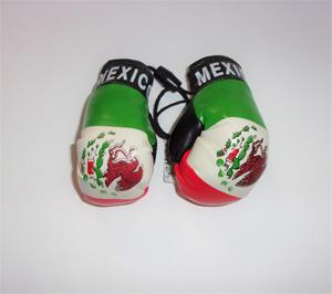 Mexico Flag Mini Boxing Gloves