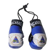 Nicaragua Flag Mini Boxing Gloves
