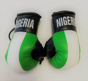 Nigeria Flag Mini Boxing Gloves