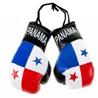 Panama Flag Mini Boxing Gloves