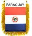 Paraguay Flag Mini Banner
