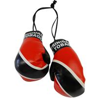 Trinidad & Tobago Flag Mini Boxing Gloves