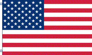 United States 3'X5' Flags