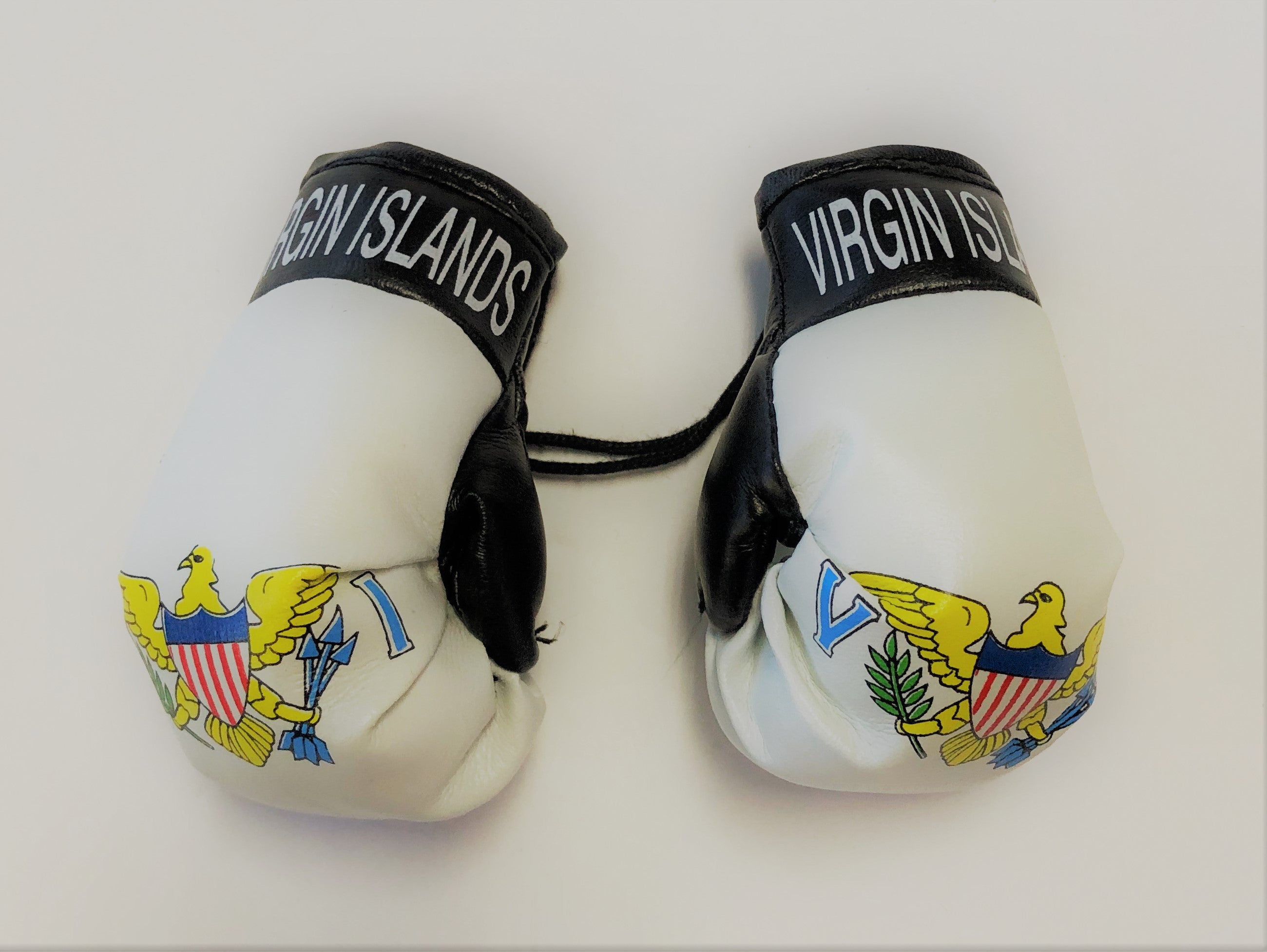 US Virgin Islands Flag Mini Boxing Gloves