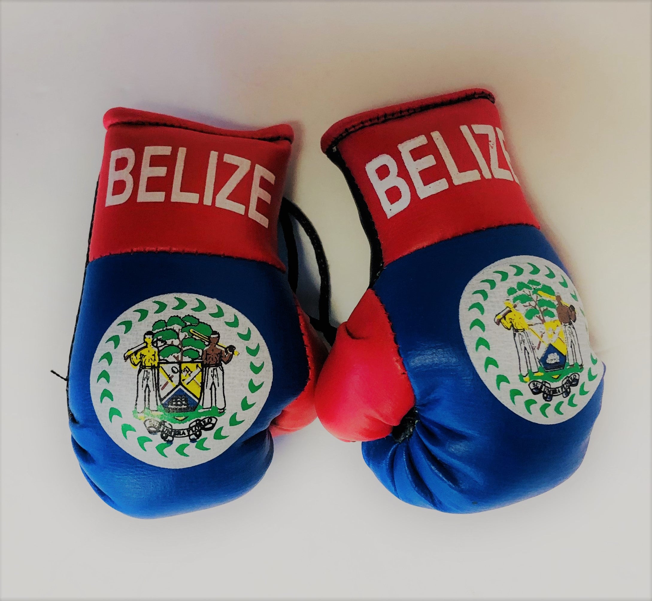 Belize Flag Mini Boxing Gloves